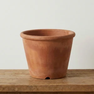 Home terracotta planter – medium size